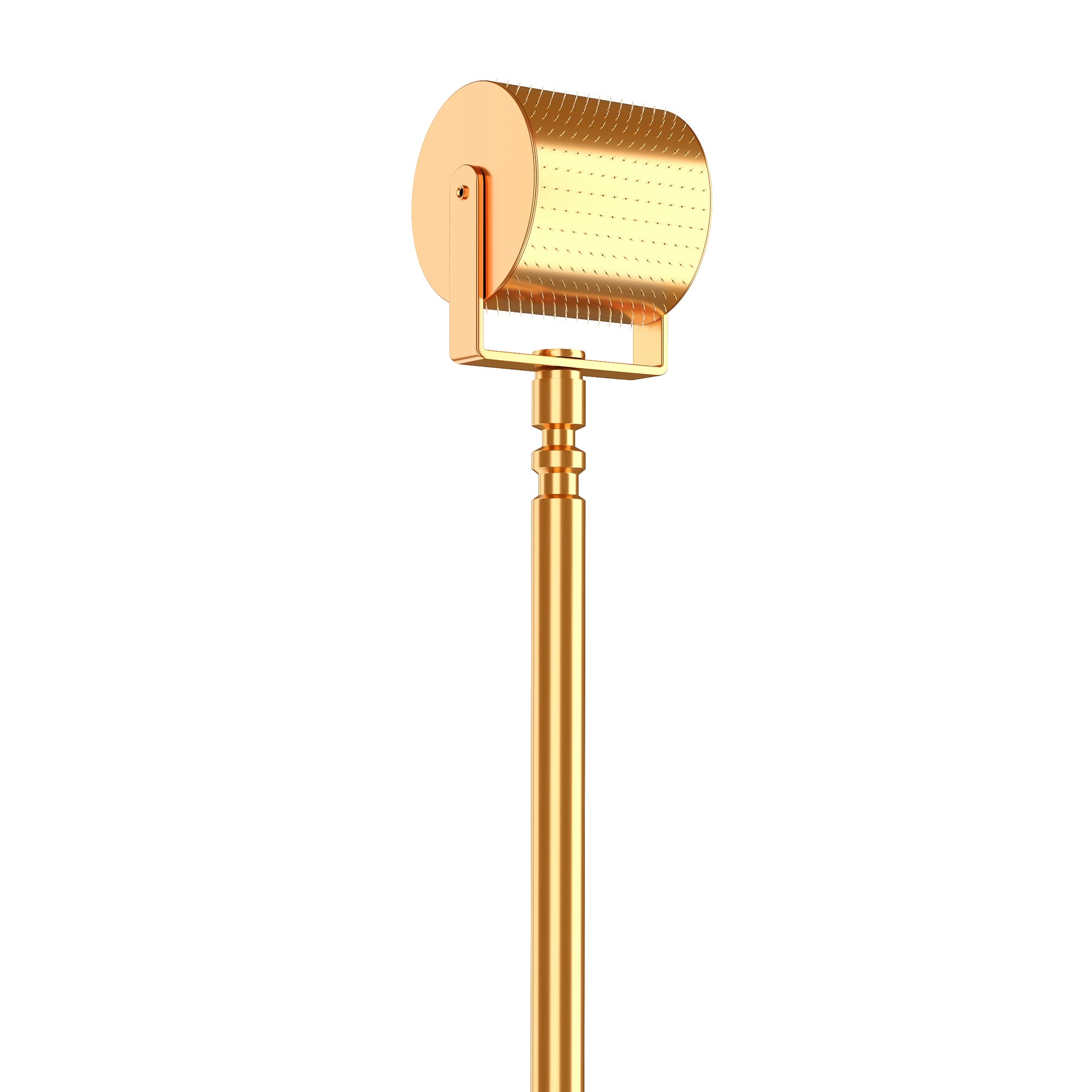 foto gold roll cit microneedling